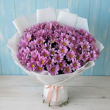 Букет цветов из:  Хризантемы #REPLACE_PRED# Ершово